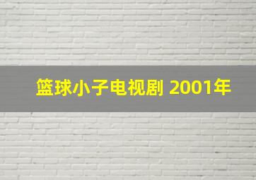 篮球小子电视剧 2001年